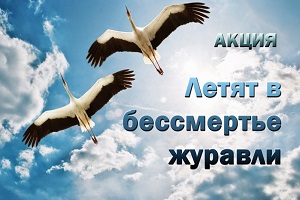 ����� ������ � ���������� �������