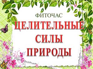 ������� ������������ ���� ��������