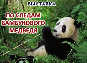 �������� ��� ������ ����������� ��������