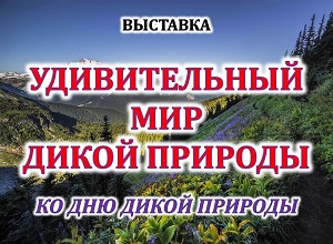 �������� ������������� ��� ����� ��������