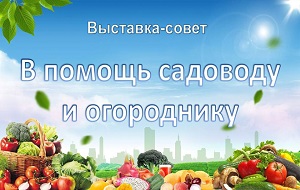 ��������-����� �� ������ �������� � ����������