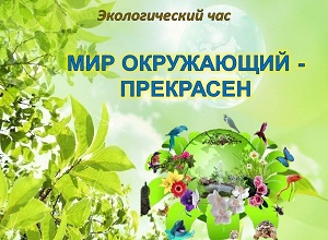 ������������� ��� ���� ���������� � ����������