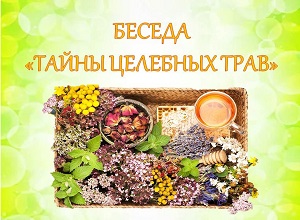 ������ ������ �������� ����
