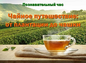 �������������� ��� ������� �����������: �� ��������� �� �����