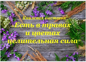 ������� �������� "���� � ������ � ������ ����������� ����"