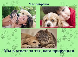 ��� ������� ��� � ������ �� ���, ���� ���������