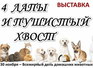 �������� �4 ���� � �������� �����