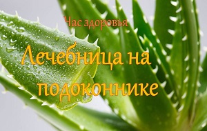 ��� �������� ���������� �� �����������