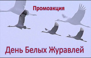 ���������� ����� ����� ��������