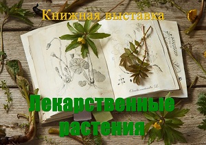 ������� �������� �������������� ���������