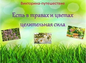 ���������-����������� ����� � ������ � ������ ����������� ����