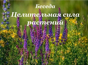 ������ "����������� ���� ��������