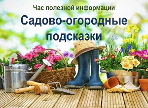 ��� �������� ���������� �������-��������� ���������