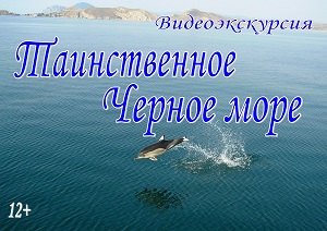 �������������� "������������ ׸���� ����"