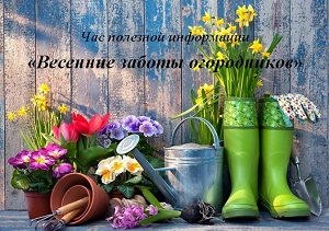 ��� �������� ���������� ��������� ������ �����������