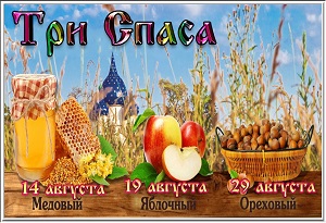 ��� ����� �������: ���, ������, ����