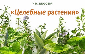 ��� �������� ��������� ���������