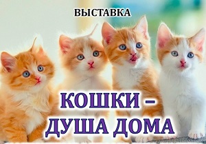 �������� ������ � ���� ����