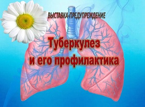 ��������-�������������� ����������� � ��� ������������