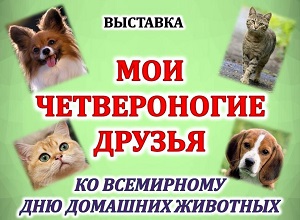 �������� ���� ������������ �������