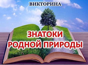 ��������� �������� ������ ��������