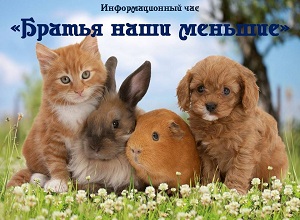 �������������� ��� ������� ���� �������